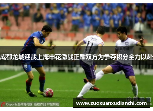成都龙城迎战上海申花激战正酣双方为争夺积分全力以赴