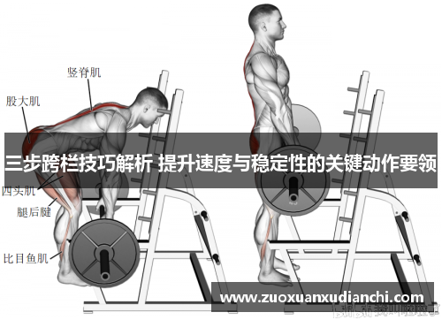 三步跨栏技巧解析 提升速度与稳定性的关键动作要领
