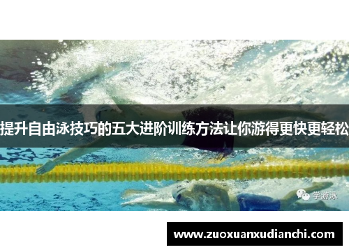 提升自由泳技巧的五大进阶训练方法让你游得更快更轻松