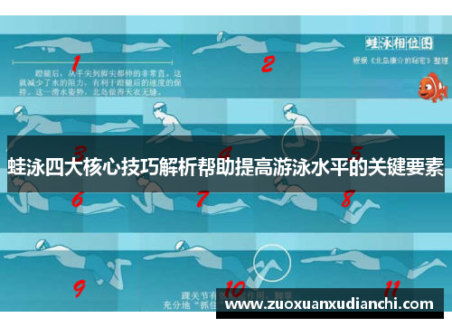 蛙泳四大核心技巧解析帮助提高游泳水平的关键要素