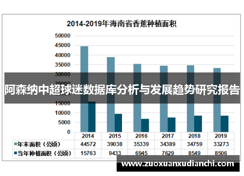 阿森纳中超球迷数据库分析与发展趋势研究报告